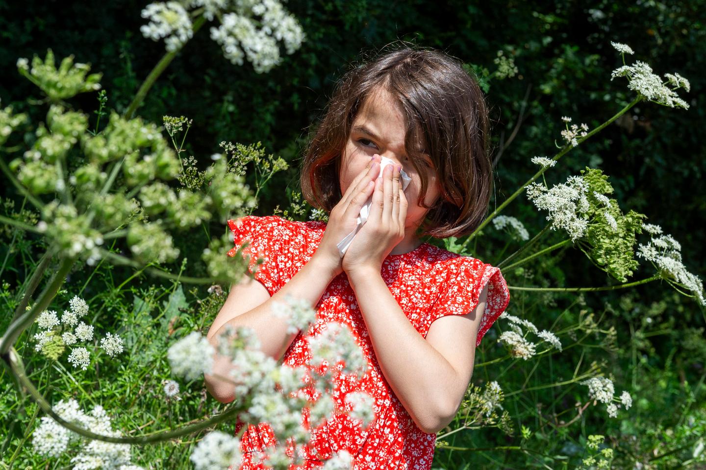 Allergies : la chaleur et la pollution augmentent la sensibilité dans la  population