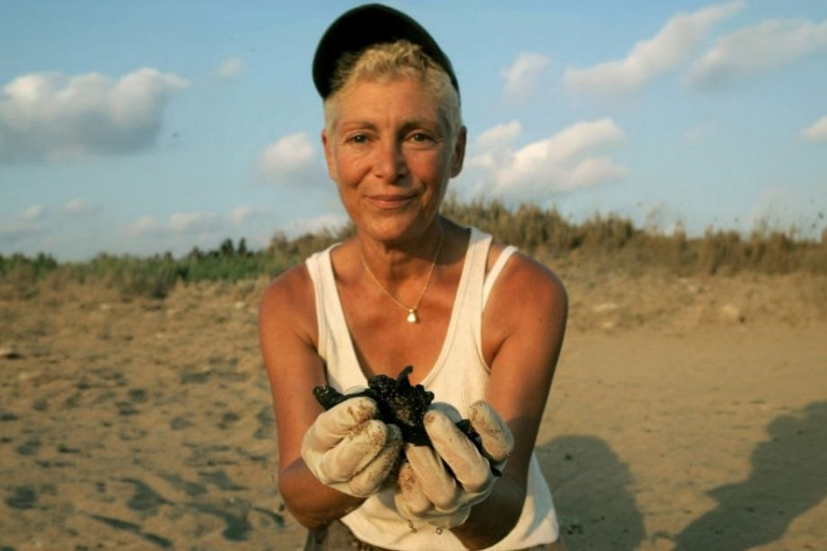 Mona Khalil, la « gardienne des tortues » du Liban, tuée par une frappe  israélienne #TiredEarth #LibanSud 🔗https://t.co/gPI4ONgcDa