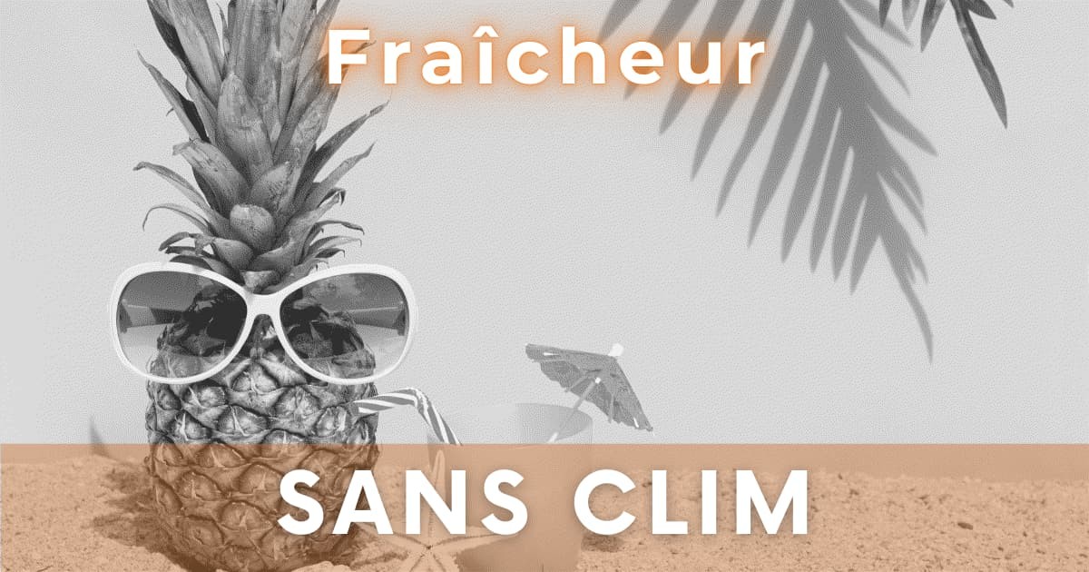 Fraîcheur sans climatisation : astuces pratiques