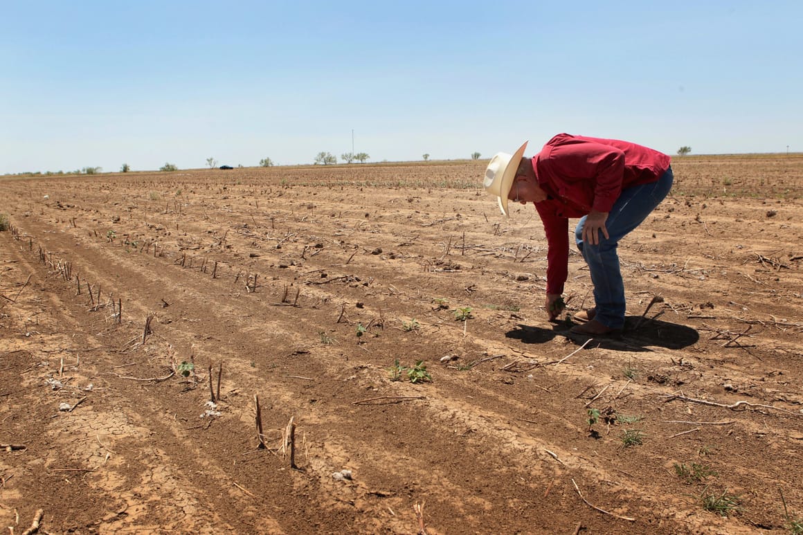Enormous' fertilizer shortage spells disaster for global food crisis –  POLITICO
