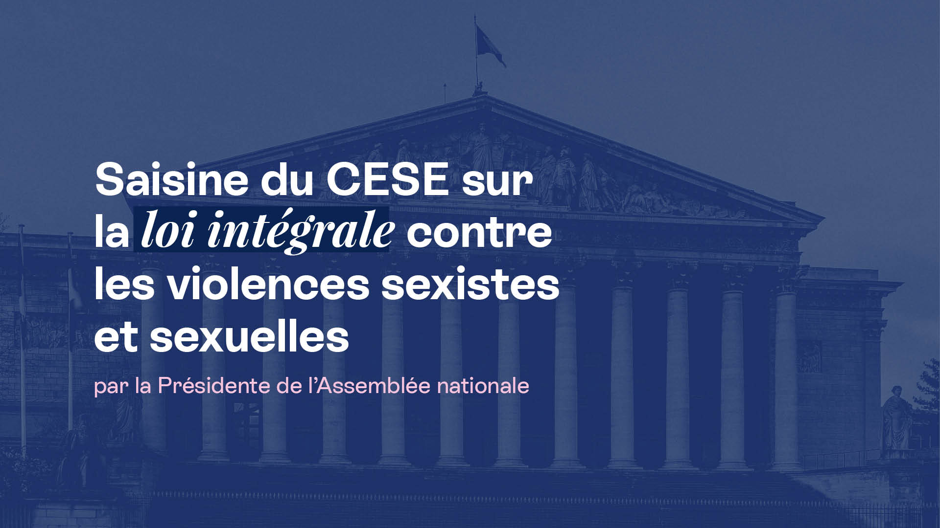 Loi intégrale contre les violences sexistes et sexuelles : le CESE saisi  par la Présidente de l'Assemblée nationale | Le Conseil économique social  et environnemental