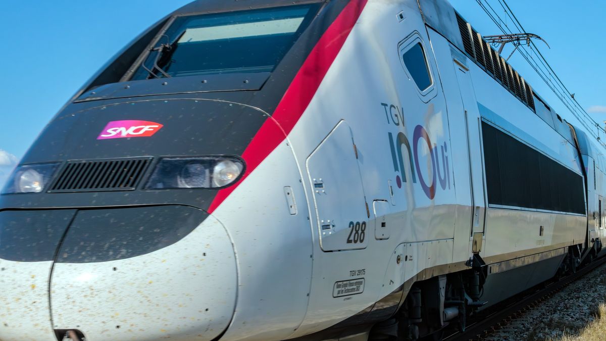 Tous les cheminots à la SNCF toucheront une prime de 100 euros brut sur la  fiche de paie de juillet en réponse à la grève du 10 juin – franceinfo