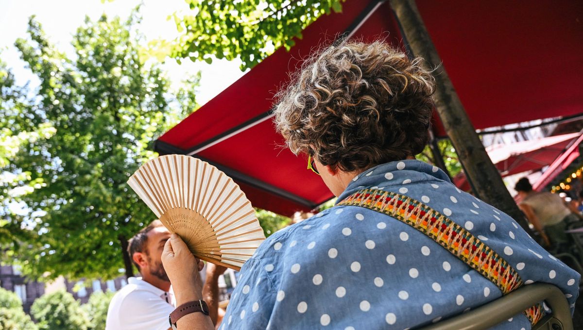 DIRECT - Canicule : 58 départements en vigilance rouge demain, la journée  de mardi est la plus chaude jamais enregistrée - ICI