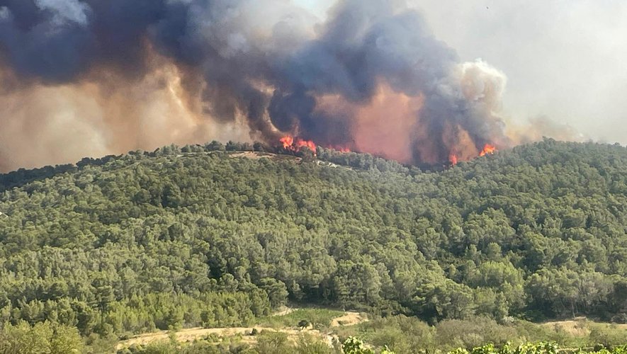 Incendie dans l'Aude : "C'est une catastrophe silencieuse"… Face à  l'ampleur du feu, Serge Zaka alerte sur l'impact écologique - midilibre.fr