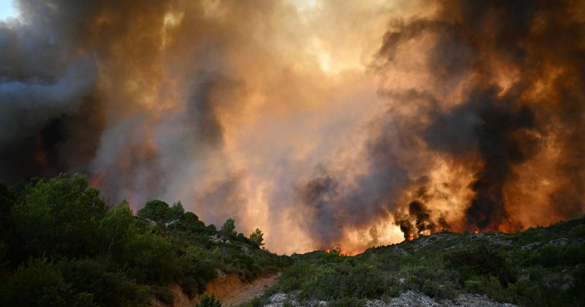 Lot-et-Garonne : des feux de forêt ravagent près de 100 hectares