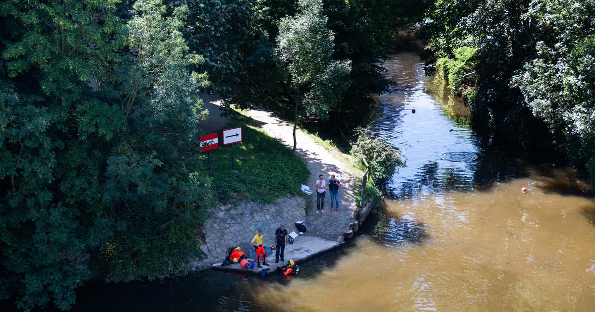 Meurtre de Théo, 11 ans, à Rennes: un appel à témoin lancé pour retrouver  une femme qui se trouvait à proximité