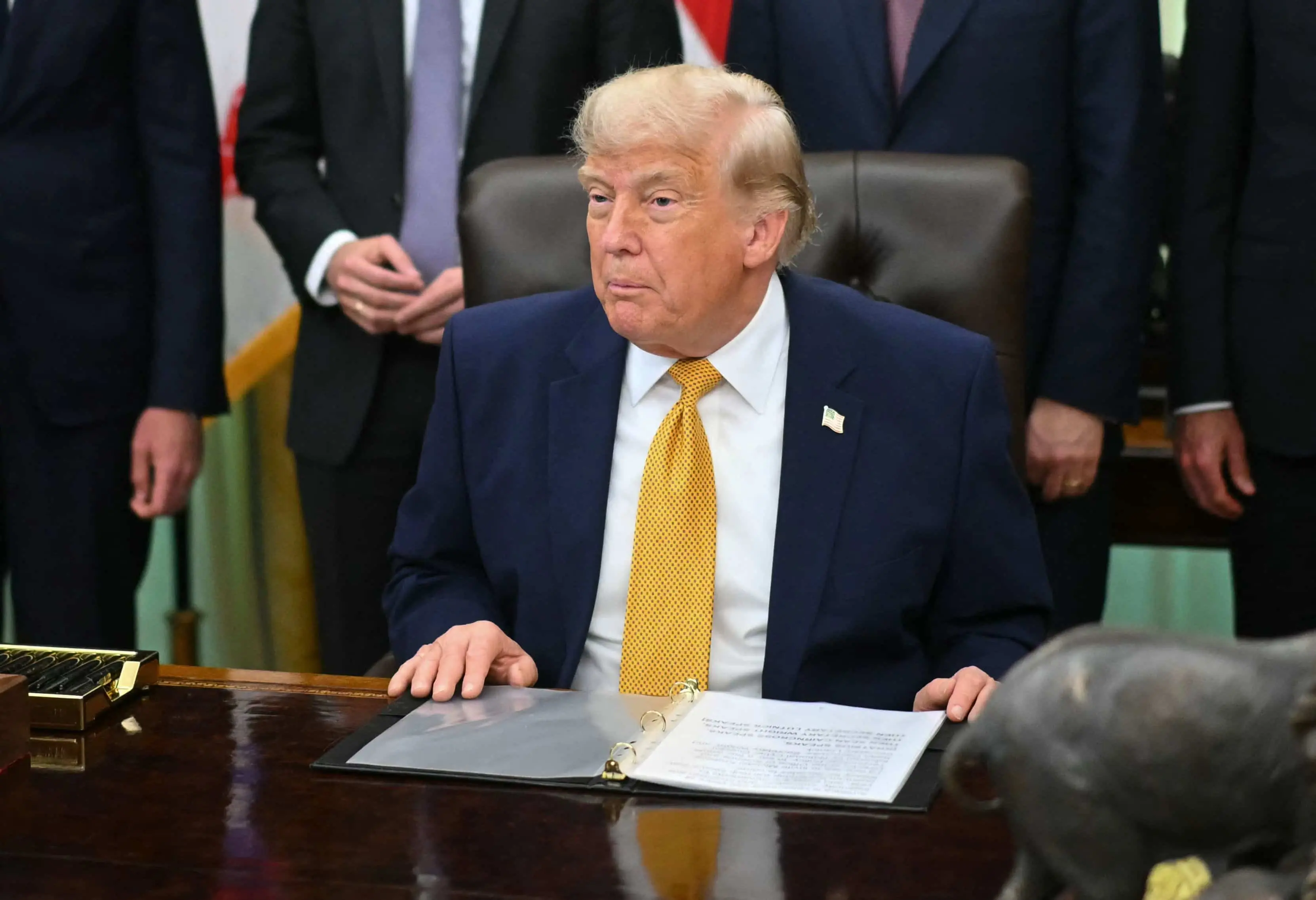 Trump menace de ne pas aider les pays de l'OTAN s'ils le demandent | JDM |  QUB info