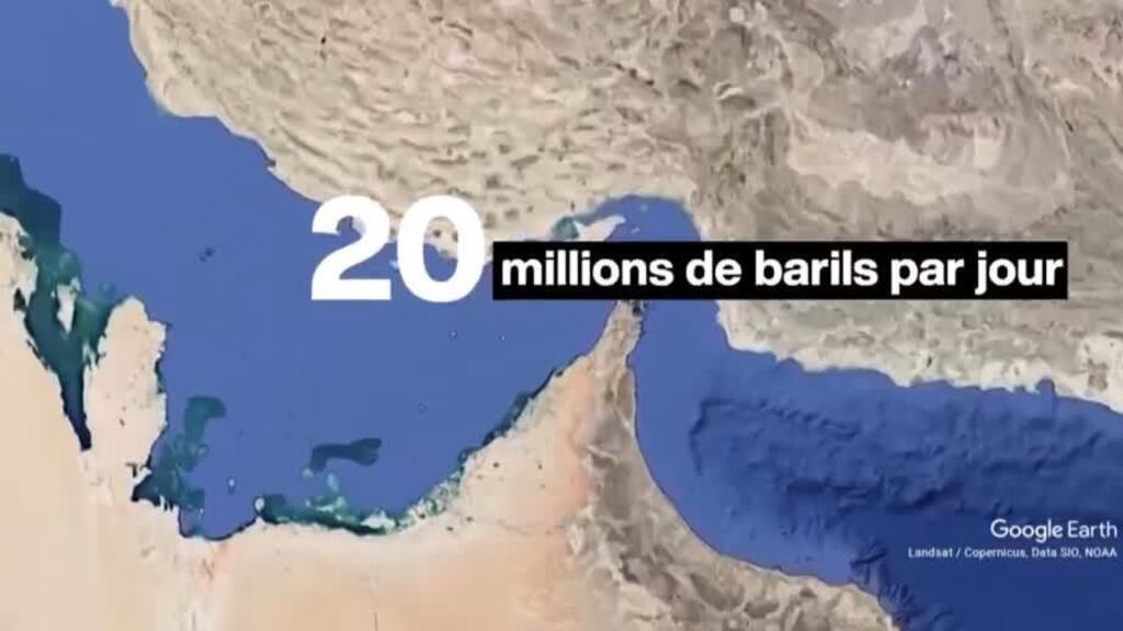 Comment réduire la dépendance mondiale au détroit d'Ormuz ? - France 24
