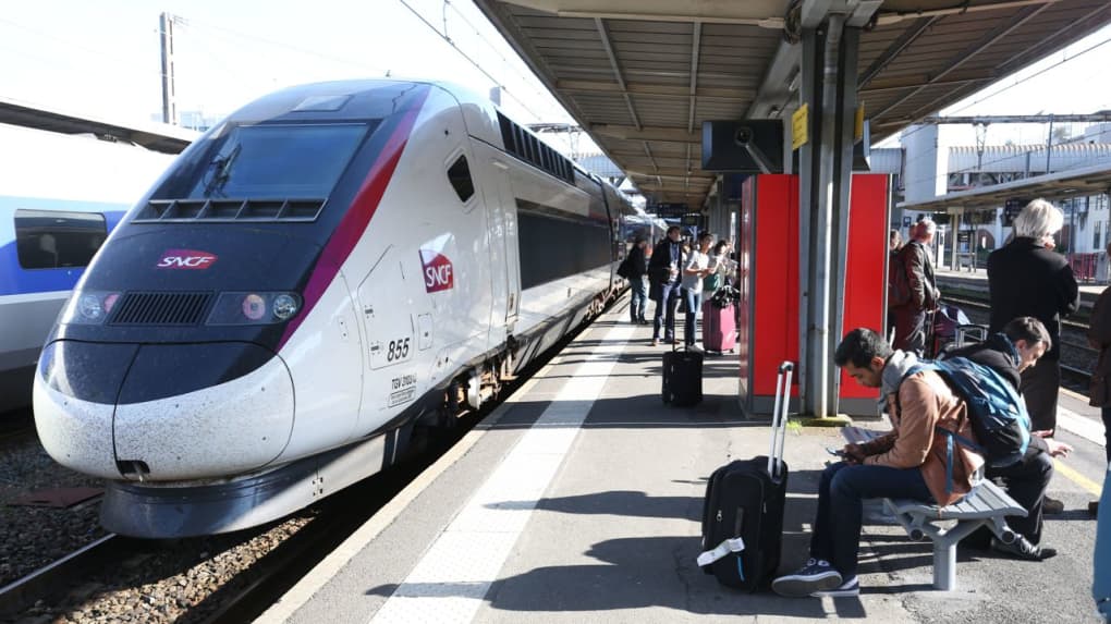 Canicule : la SNCF recommande aux personnes "vulnérables" d' "éviter de  prendre le train"