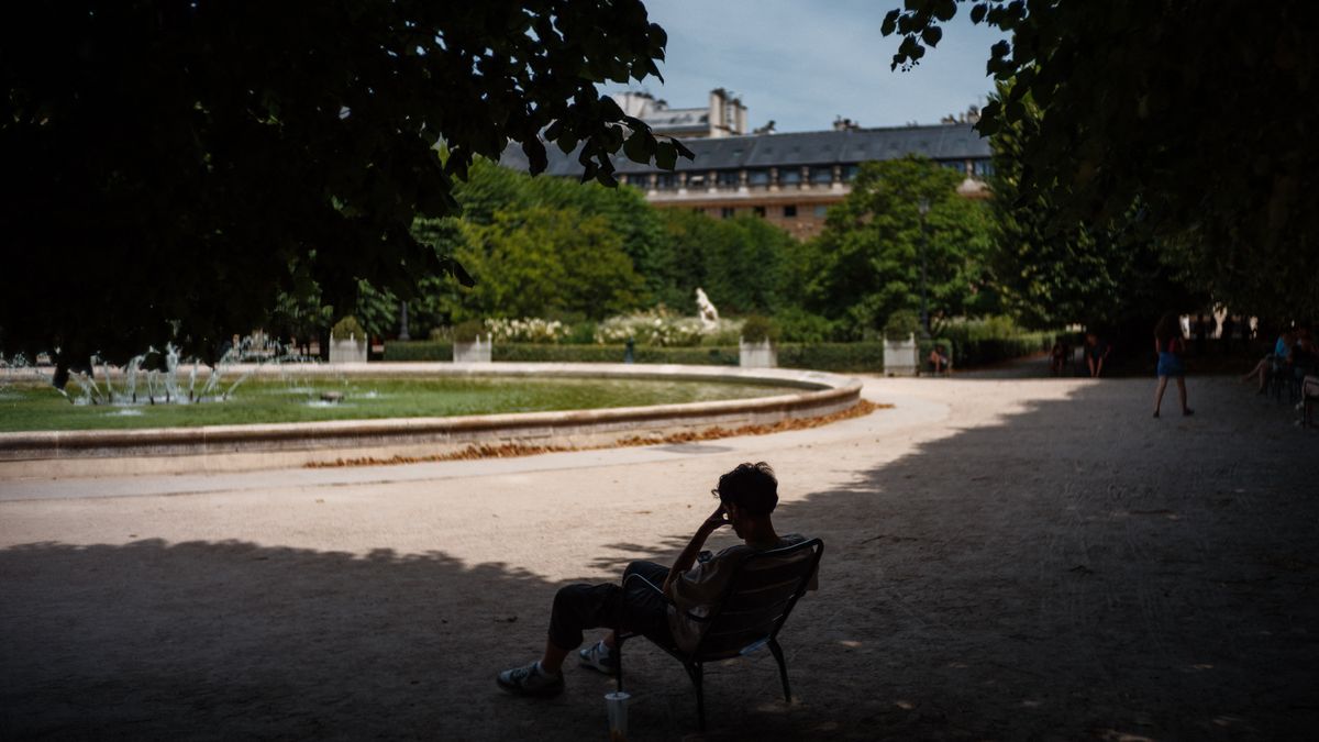 Irritabilité accrue, troubles dépressifs et psychotiques en hausse,  décompensations... Comment la canicule met à l'épreuve la santé mentale –  franceinfo