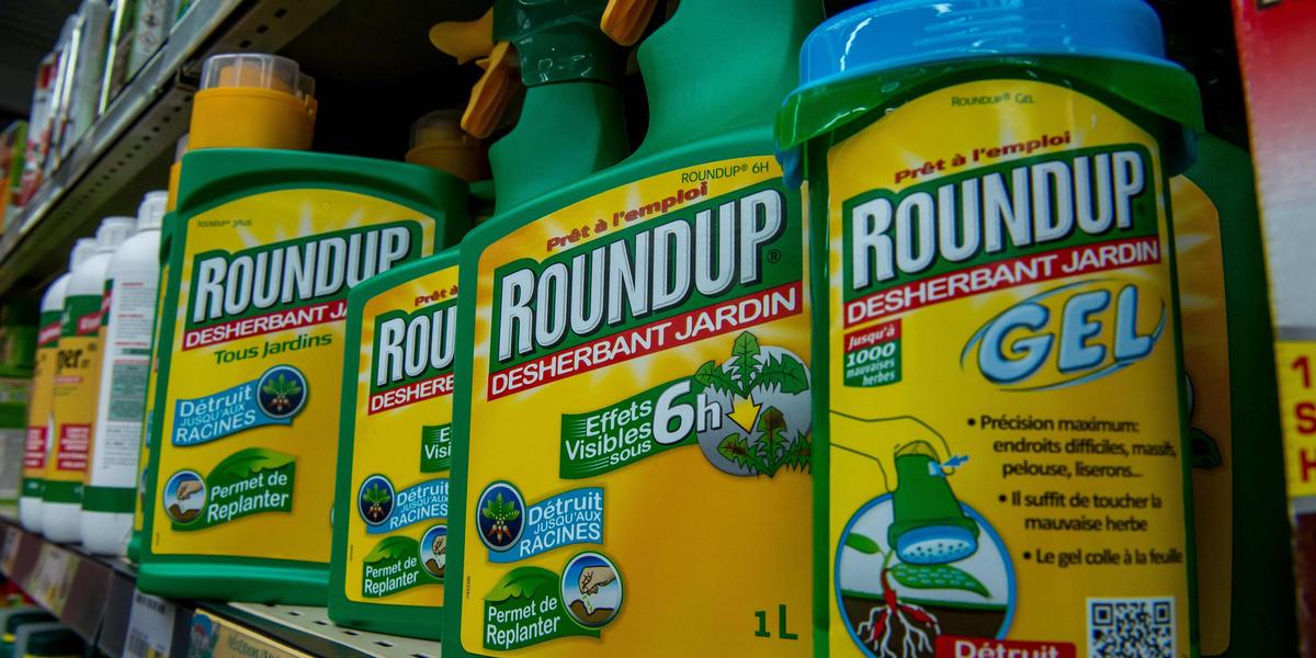 Pesticide : la Cour suprême américaine se penche sur le recours de Bayer  concernant les plaintes liées au Roundup