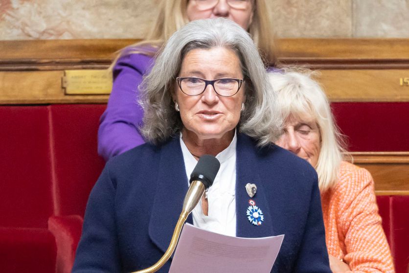 Aide à mourir : un amendement RN bouscule le débat à l'Assemblée en excluant  les médecins de sa mise en œuvre