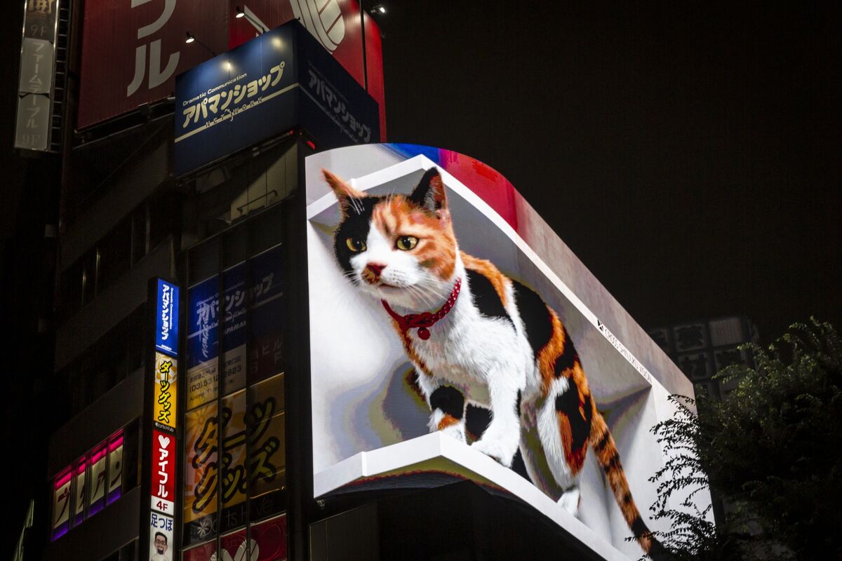 Hello, Kitty — Japan's $20 Billion Cat Boom - Bloomberg
