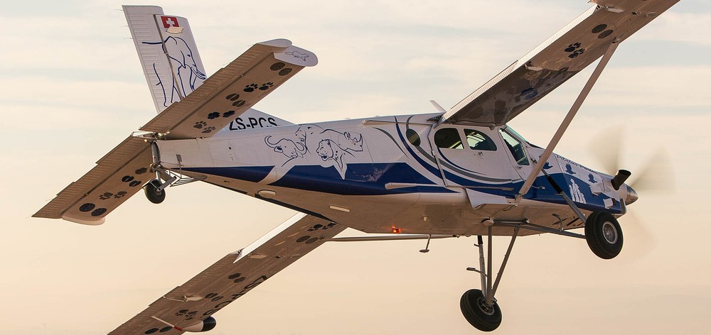Aerobuzz
