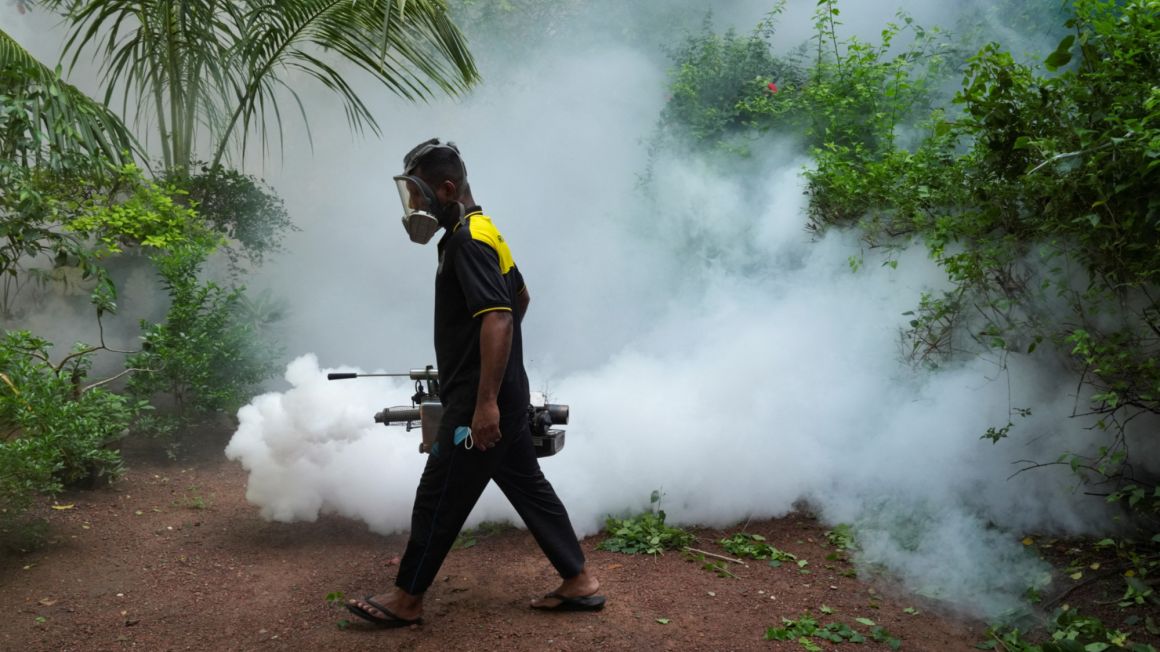 Sri Lanka : l'armée déployée pour lutter contre les moustiques