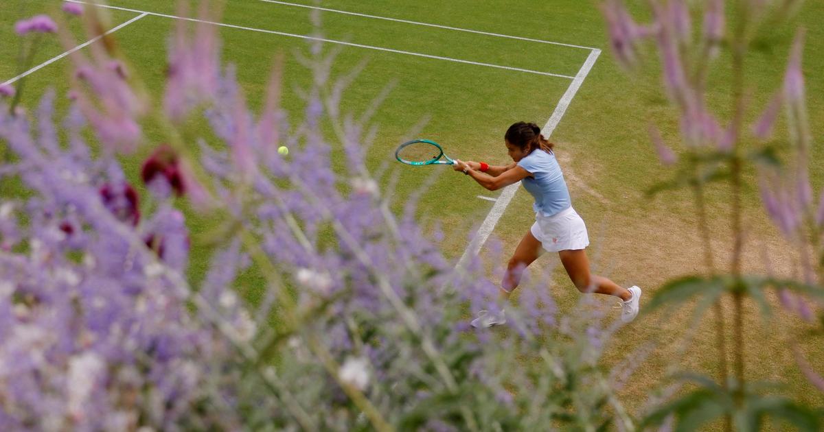 Wimbledon : Emma Raducanu contrainte au forfait