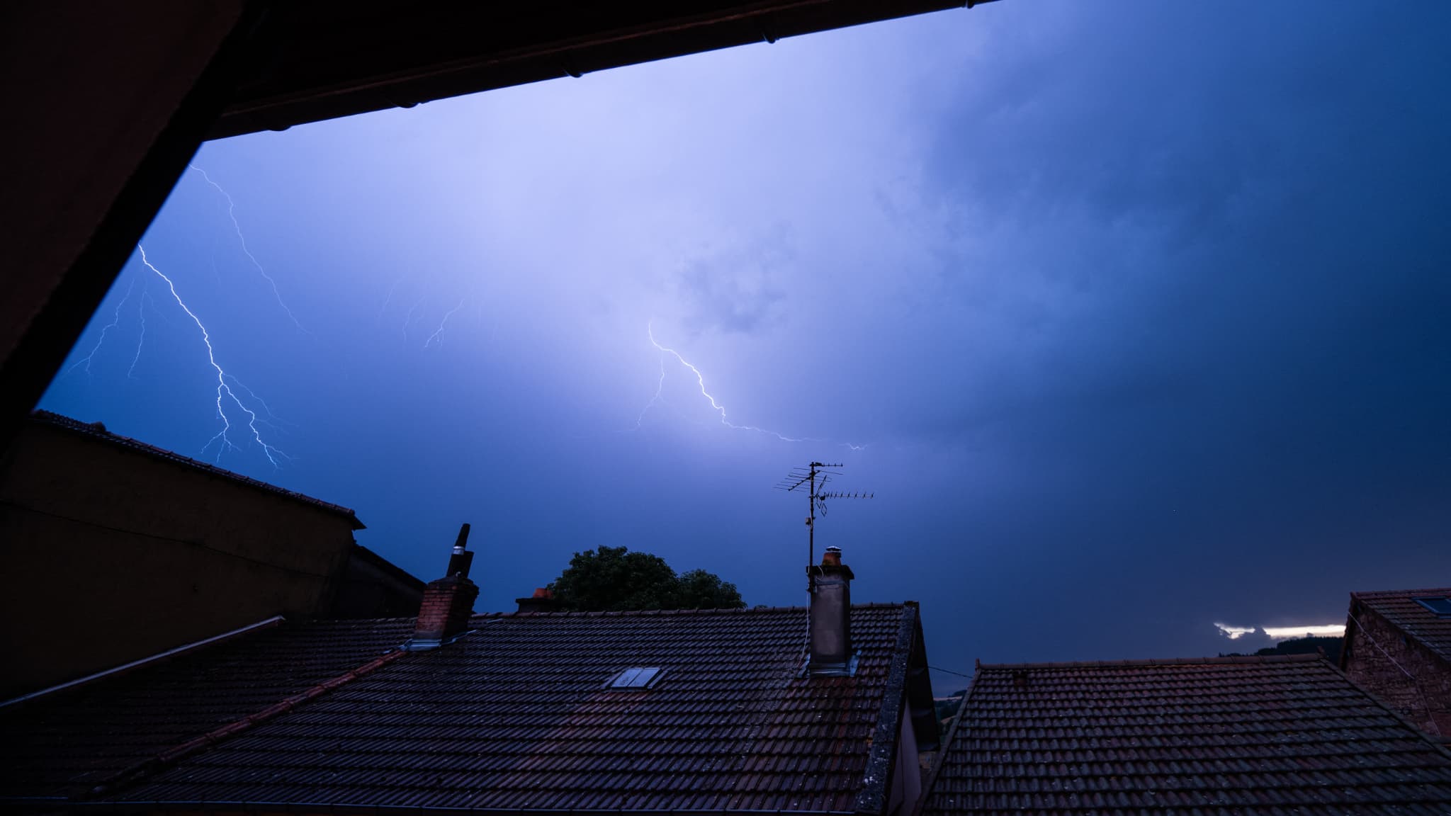 BFM