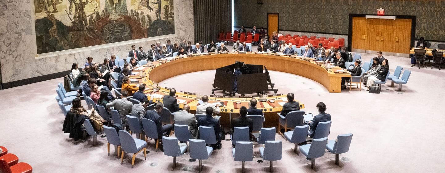 Ukraine : au Conseil de sécurité, l'ONU appelle à enrayer l'escalade des  hostilités | ONU Info