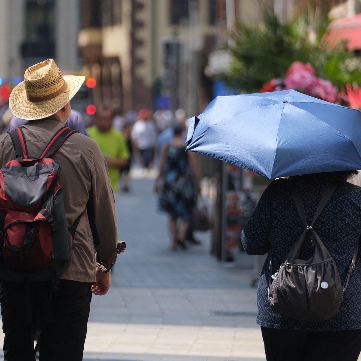 Records de températures au Danemark, en République tchèque et en  Allemagne... la vague de chaleur touche aussi une partie du reste de l' Europe – franceinfo