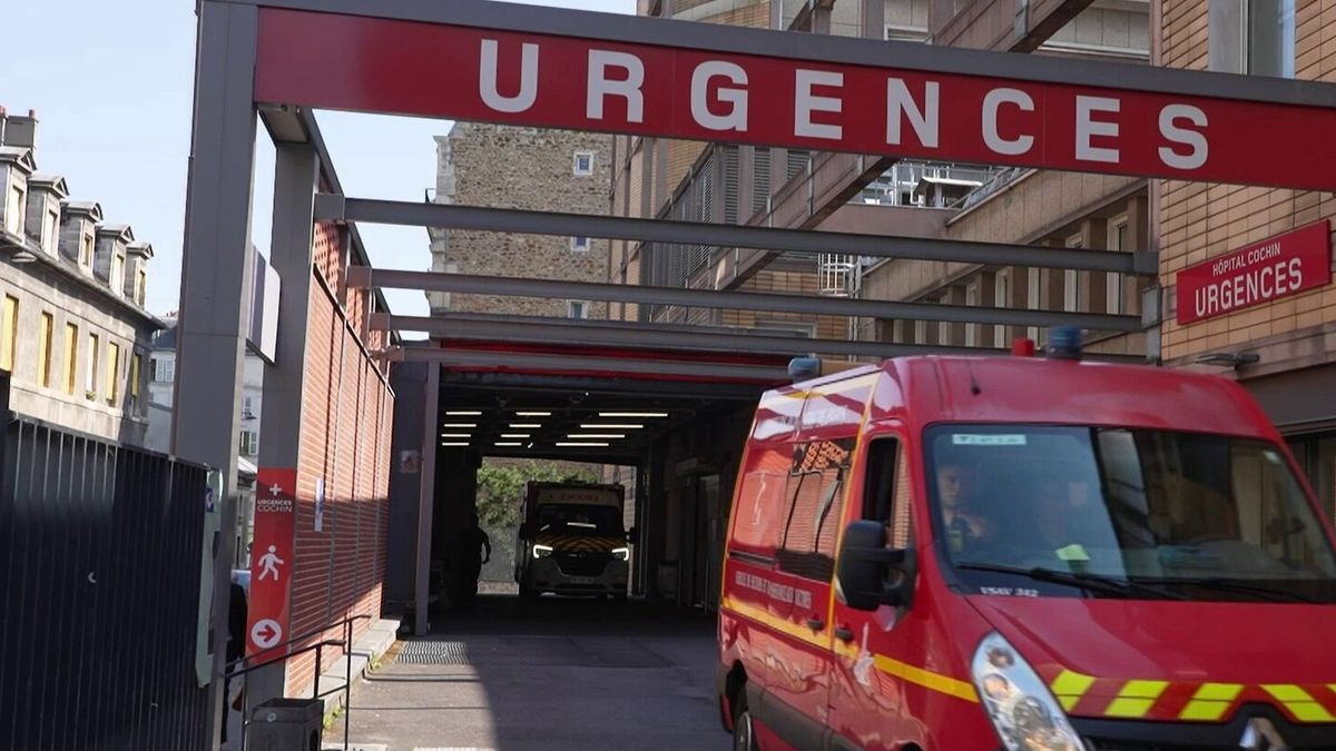 Canicule : un nombre de décès qui pourrait encore augmenter – franceinfo