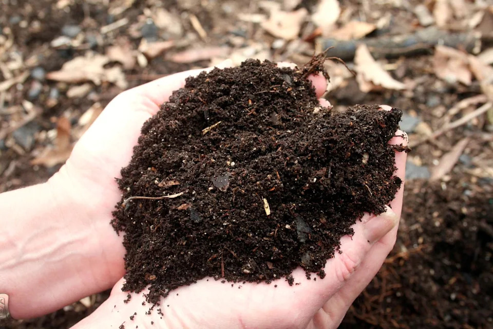 Gardeners often hear about supposed hacks and quick fixes. Here are some  common ones debunked - Yahoo News Canada
