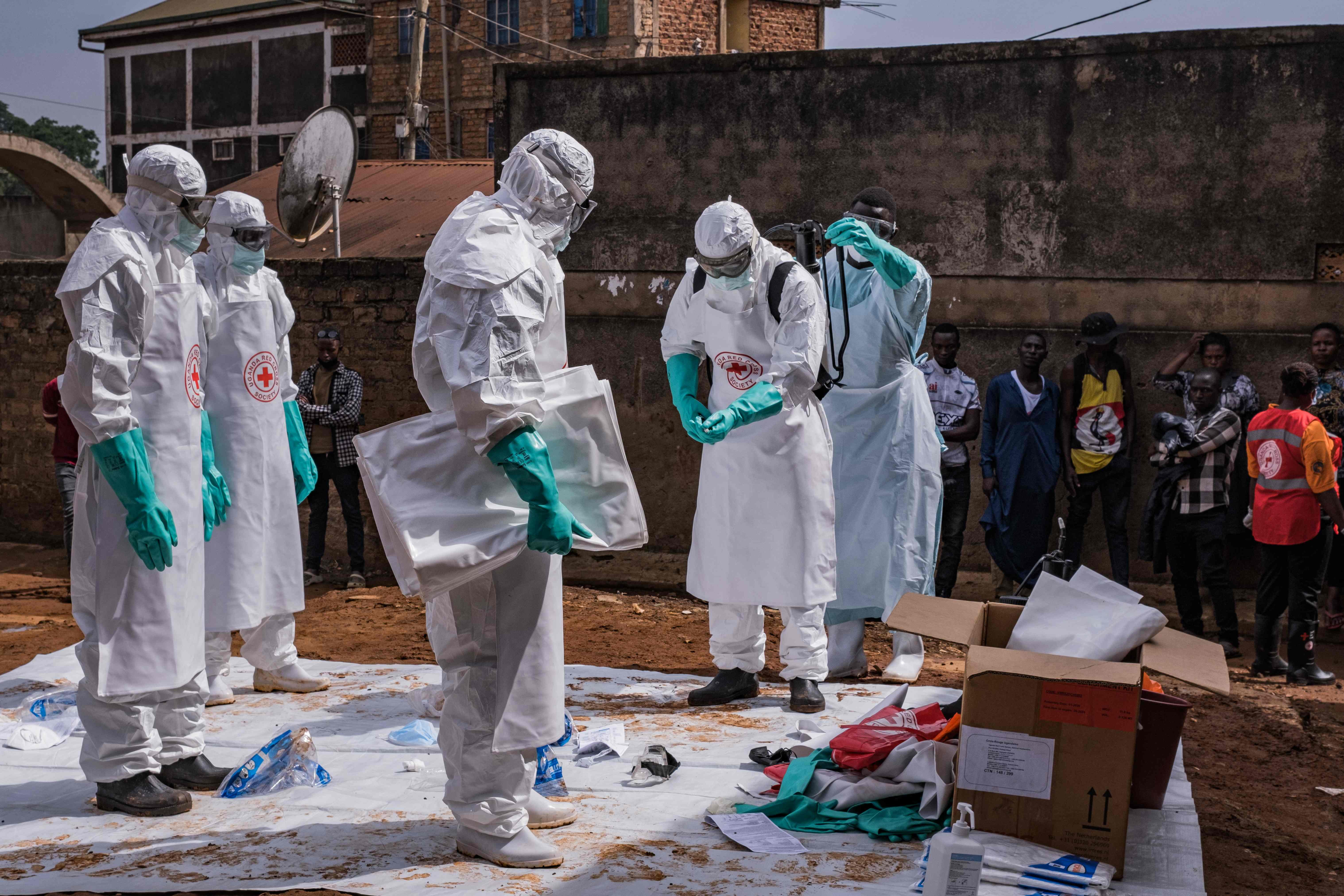 Ebola, hantavirus : «Les systèmes de santé animale sont l'une des premières  lignes de défense contre les pandémies» – Libération