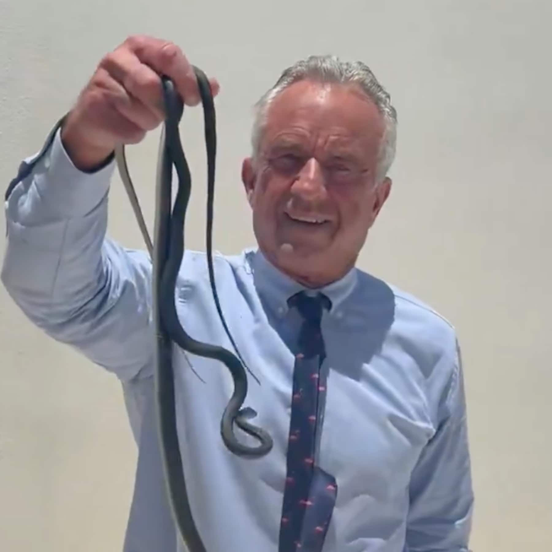 RFK Jr. is now handling snakes. What does this mean? - The Washington Post