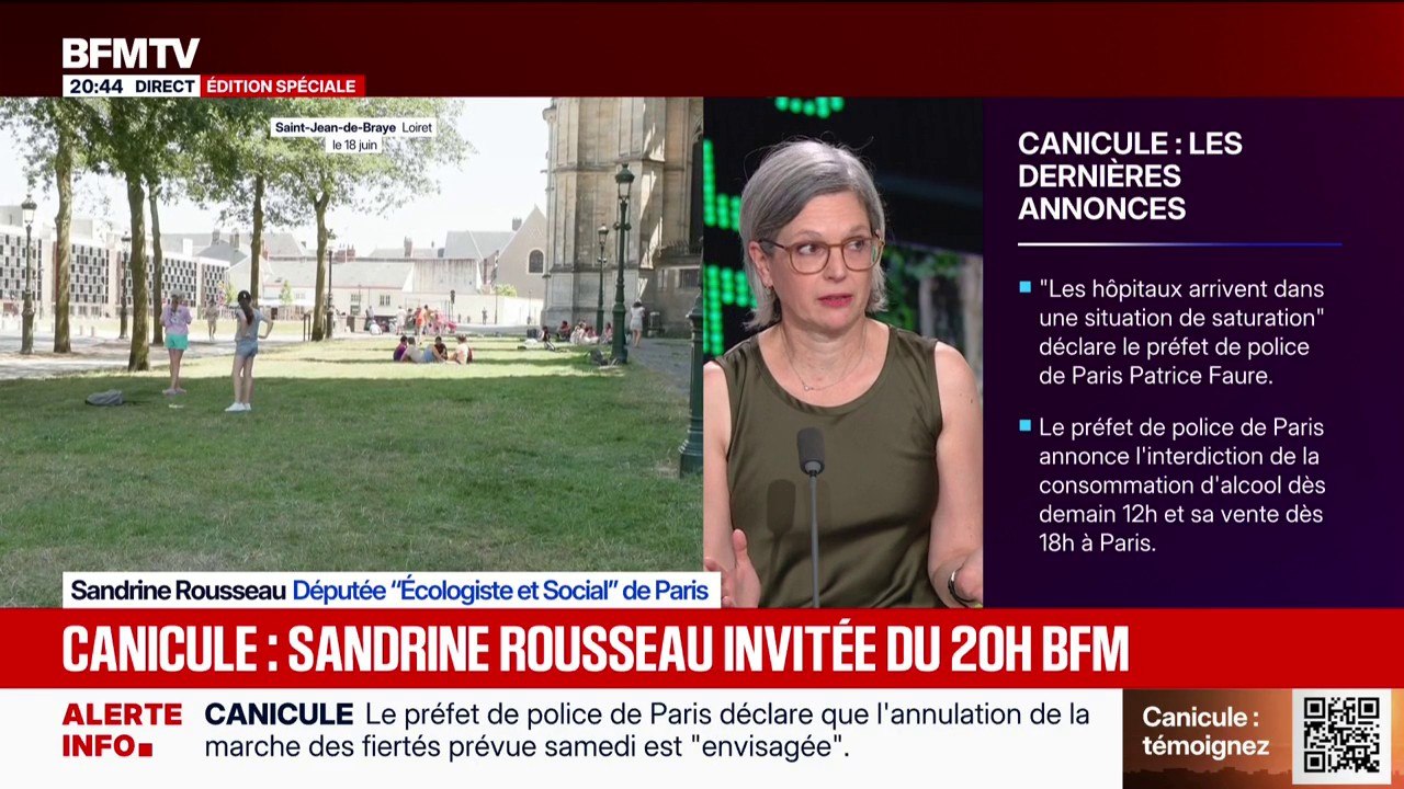 Canicule: "On a l'impression d'une forme de grand silence" de la part de  l'exécutif, déclare Sandrine Rousseau, députée "Écologiste et Social" de  Paris - Vidéo Dailymotion