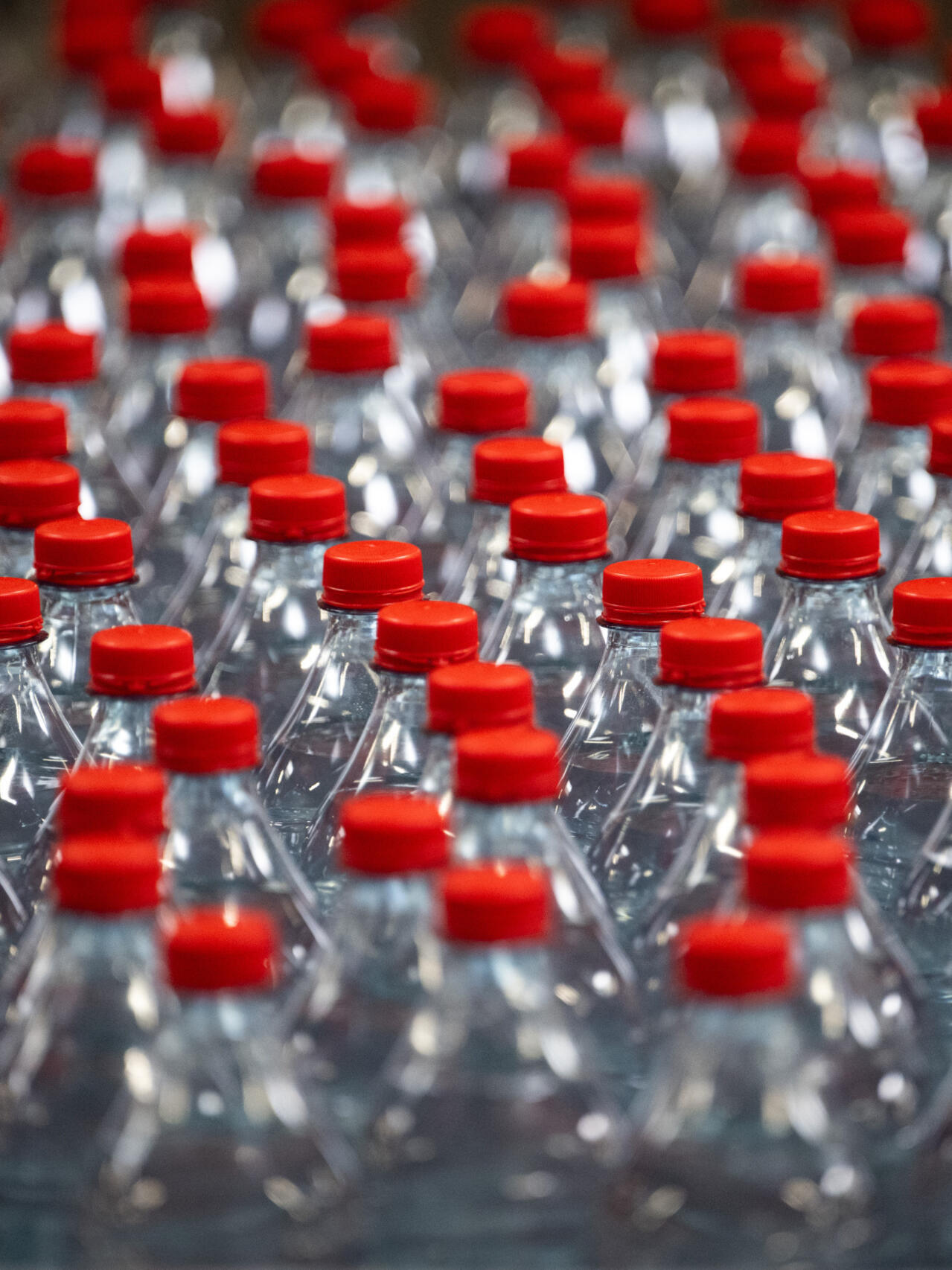 Consigne sur les bouteilles plastiques: élus et associations font bloc  contre le "greenwashing"