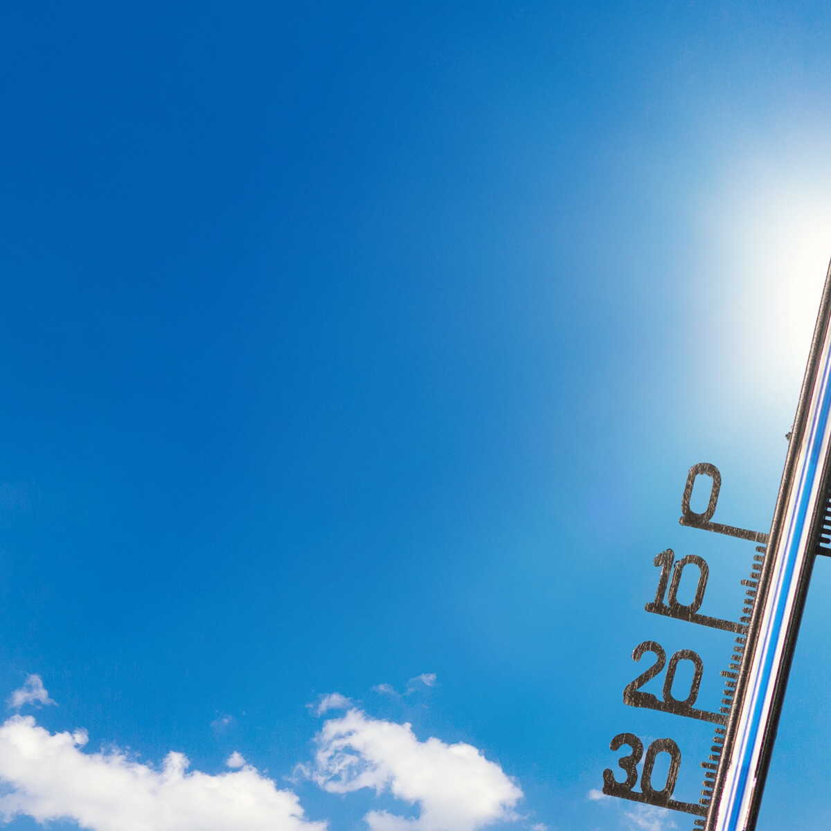 Canicule : un tiers des Français serait prêt à déménager dans une autre  région - Capital.fr