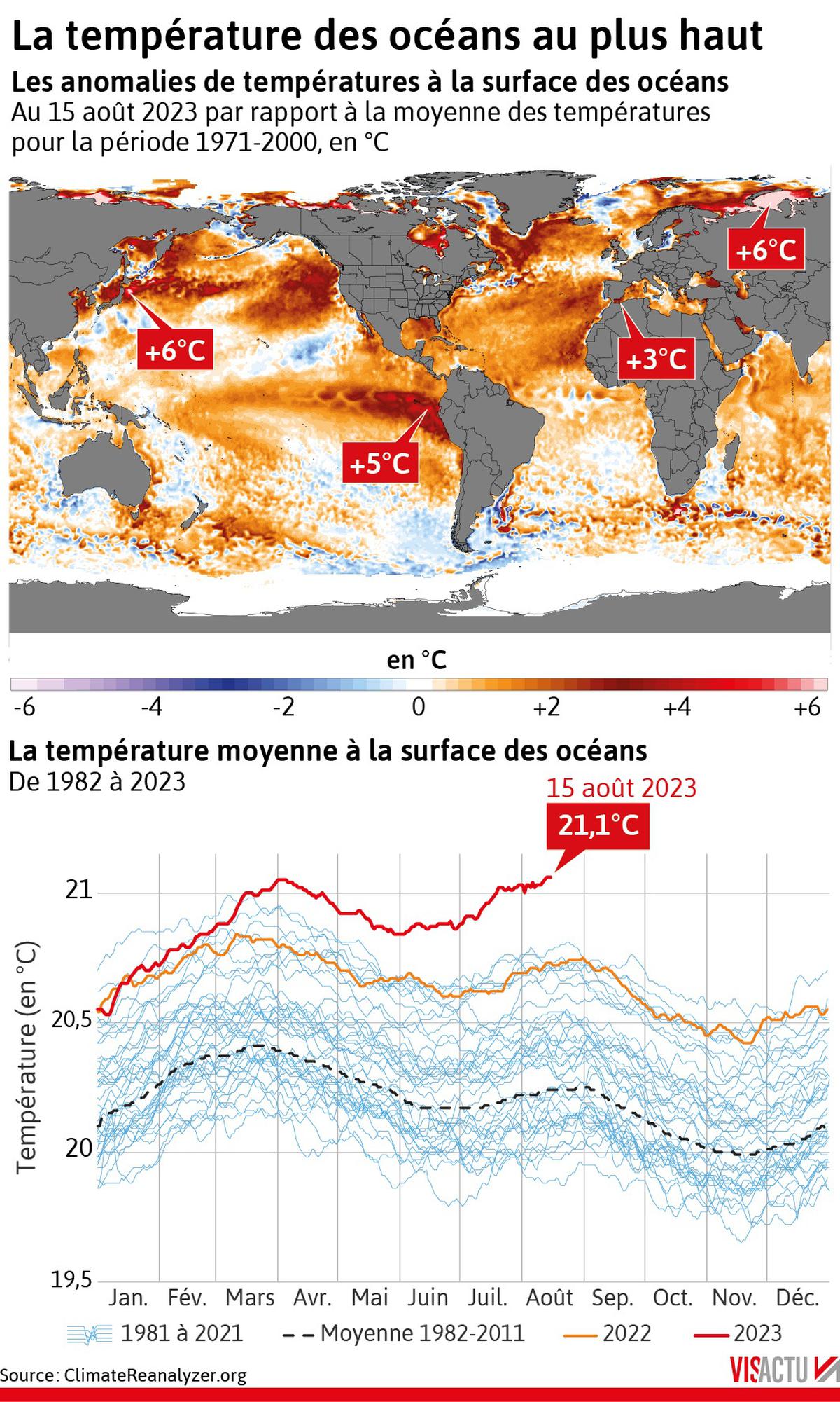 Canicule marine : la température à la surface des océans bat un nouveau  record