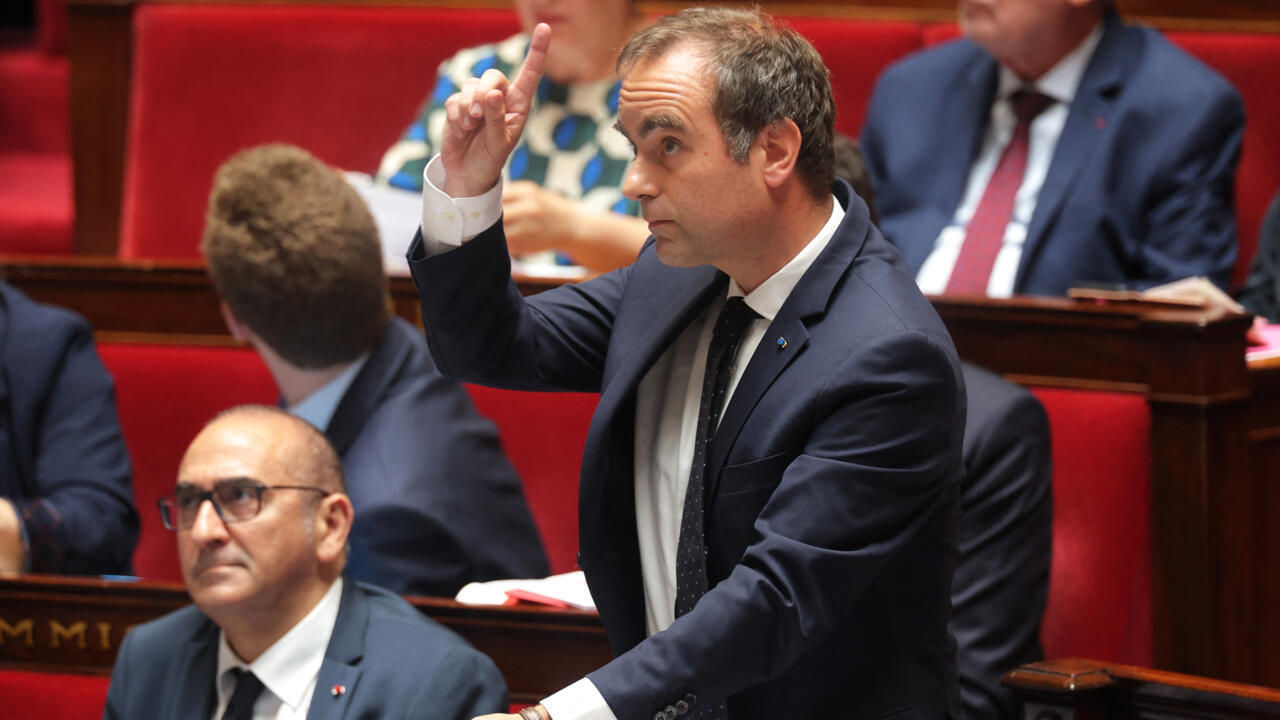Canicule en France : les Écologistes demandent des comptes au gouvernement - France 24