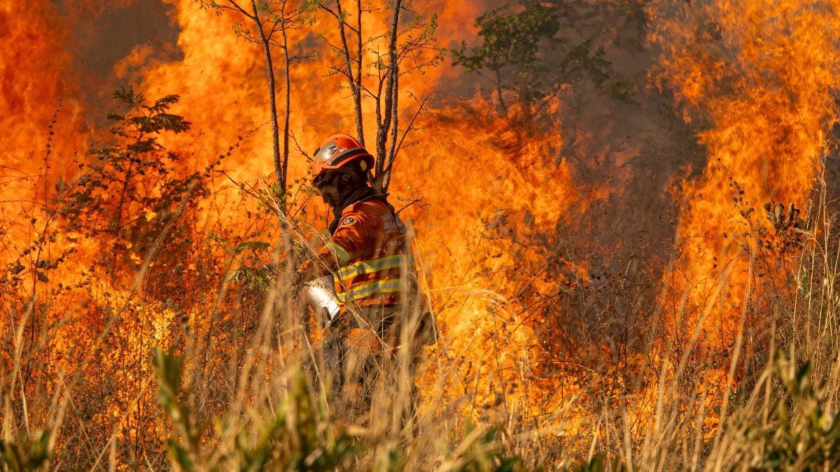 Feux de forêt : six départements du Sud basculent en vigilance rouge alors que la situation pourrait encore empirer
