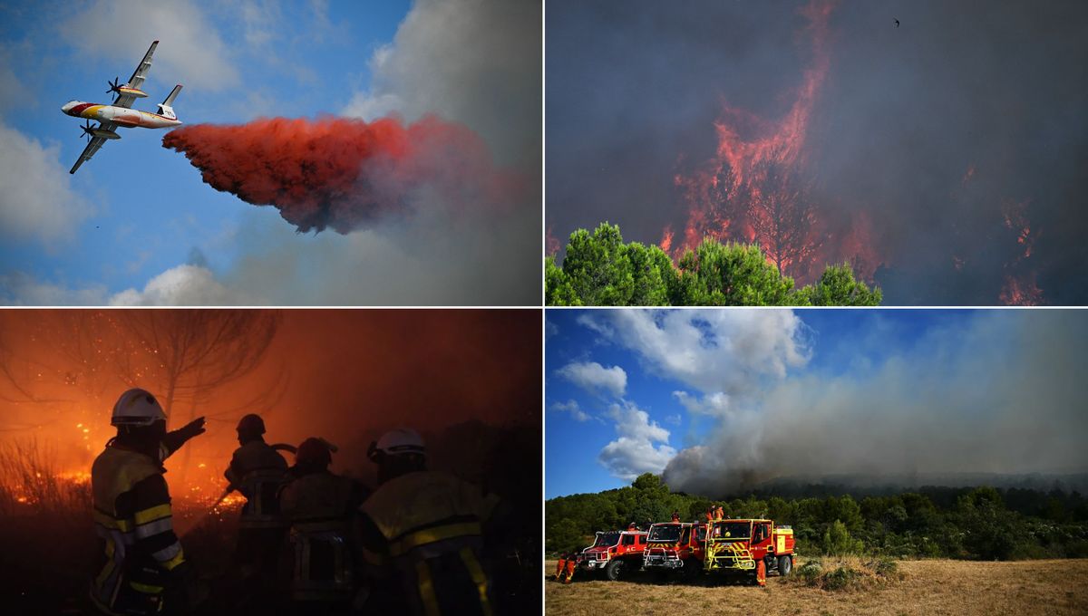 Incendies : "grosse reprise" dans l'Aude, 3.000 personnes évacuées dans les Pyrénées-Orientales - ICI