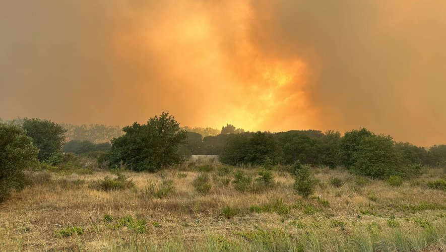 VIDEOS. Un feu virulent ravage 480 hectares de forêts, des milliers de personnes évacuées dans les Pyrénées-Orientales - centrepresseaveyron.fr