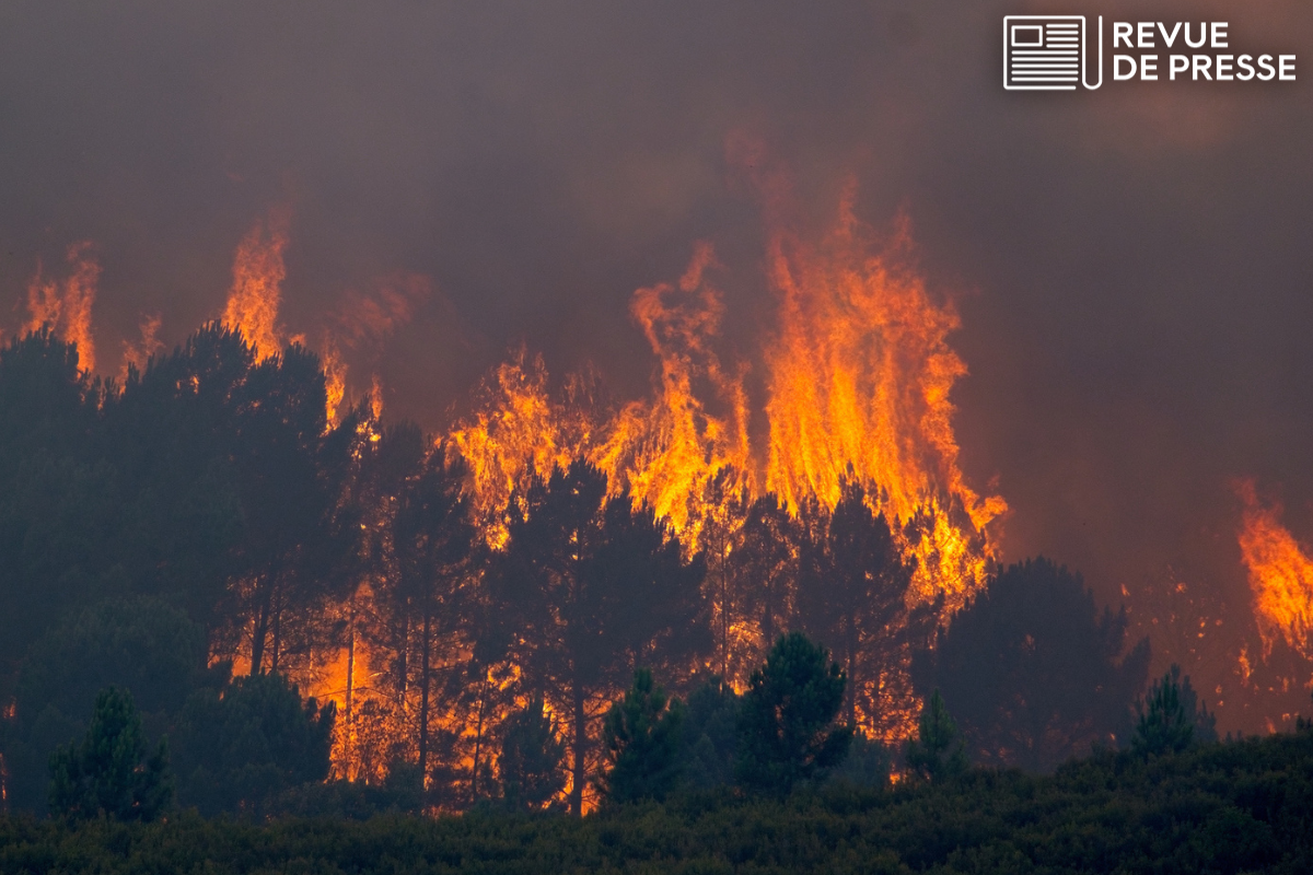 À peine l'été commencé, le sud de l'Europe déjà en proie à de violents feux de forêt - Touteleurope.eu