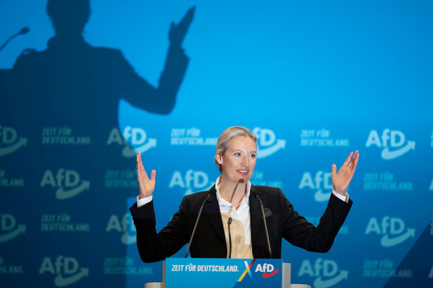 En Allemagne, l'AfD assume son programme d'extrême droite : « remigration », sortie de l'euro…