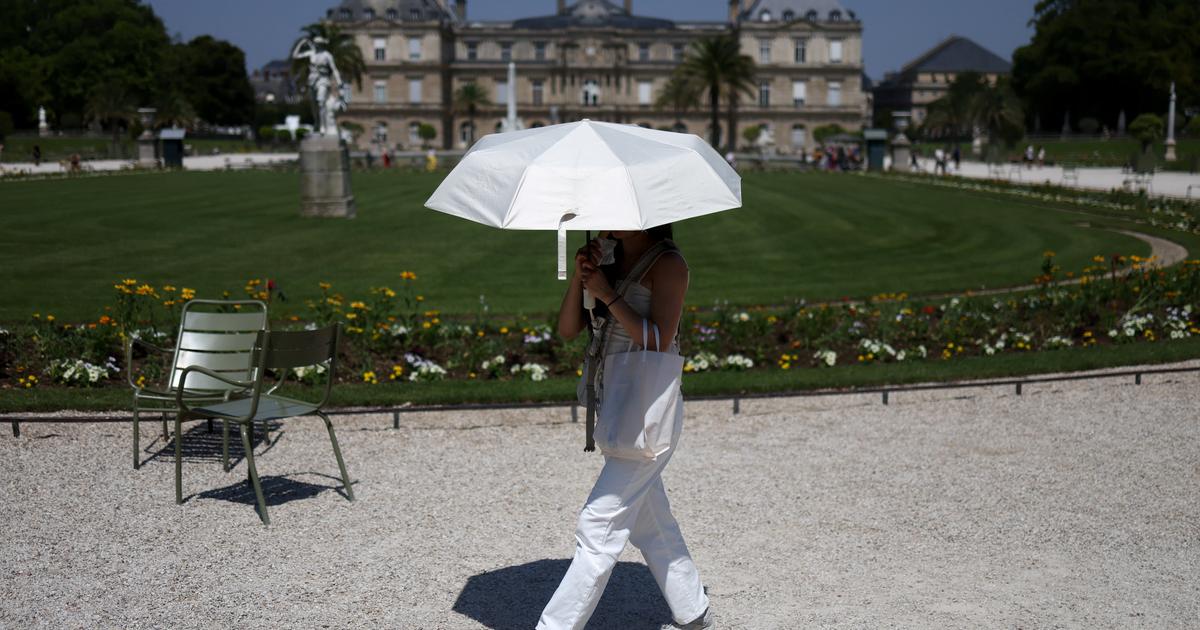 Nous sommes traumatisés par les dix jours de canicule dont nous sortons» : des scientifiques réclament une «loi d'urgence climatique» dans une tribune