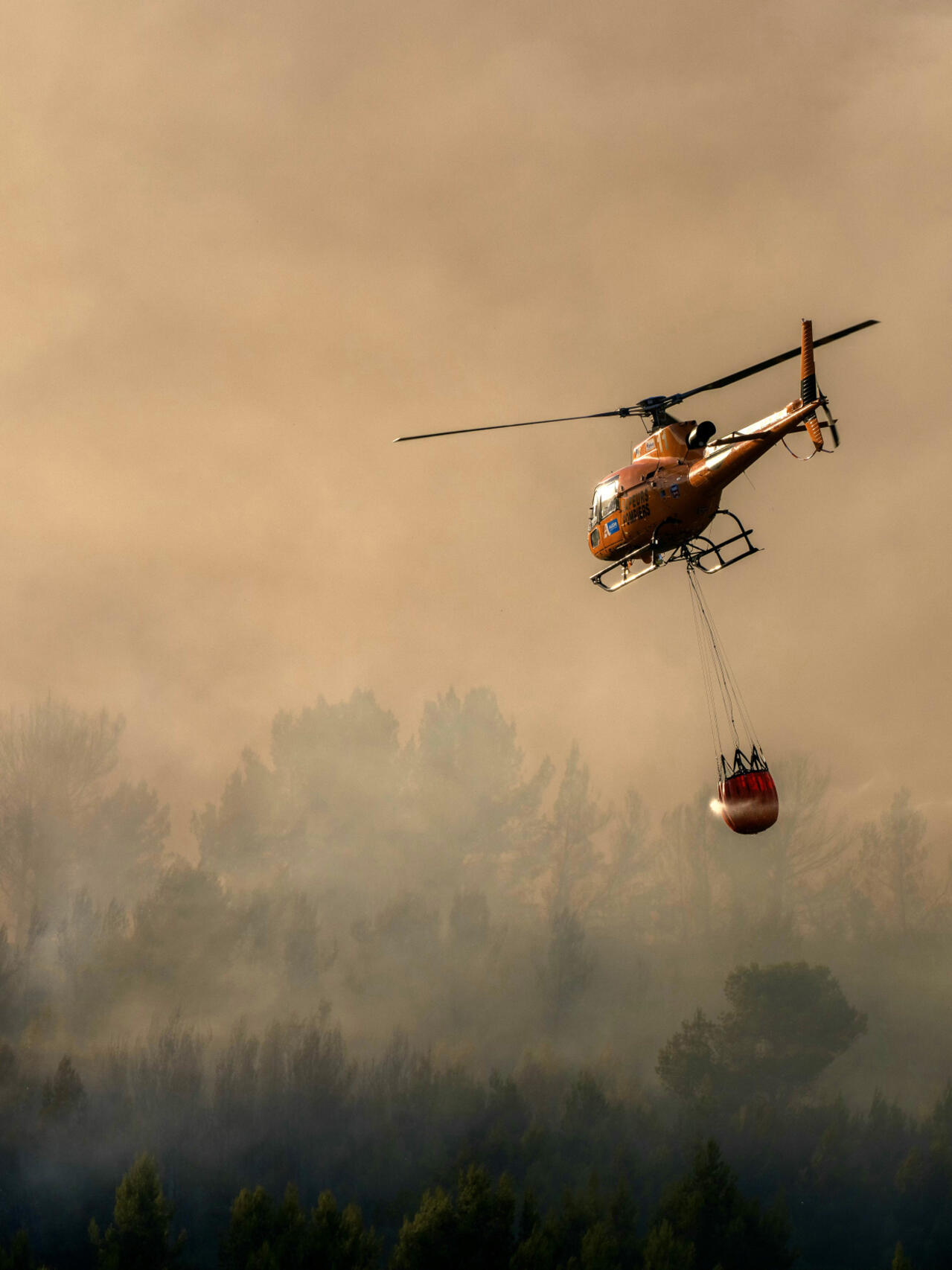 Nouvel incendie dans les Pyrénées-Orientales, l'étape du Tour de France "adaptée" et "sans public" - France 24