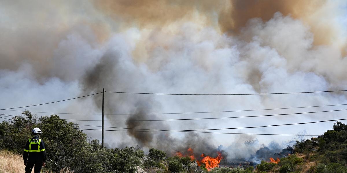 Incendie dans les Pyrénées-Orientales : 10.000 évacuations et le Tour de France perturbé - Charente Libre.fr