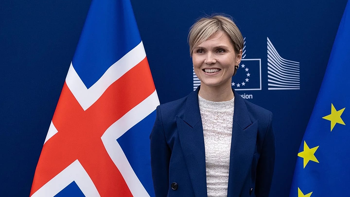 L'Islande prévoit un référendum en août sur la reprise des négociations d'adhésion à l'UE | Euronews
