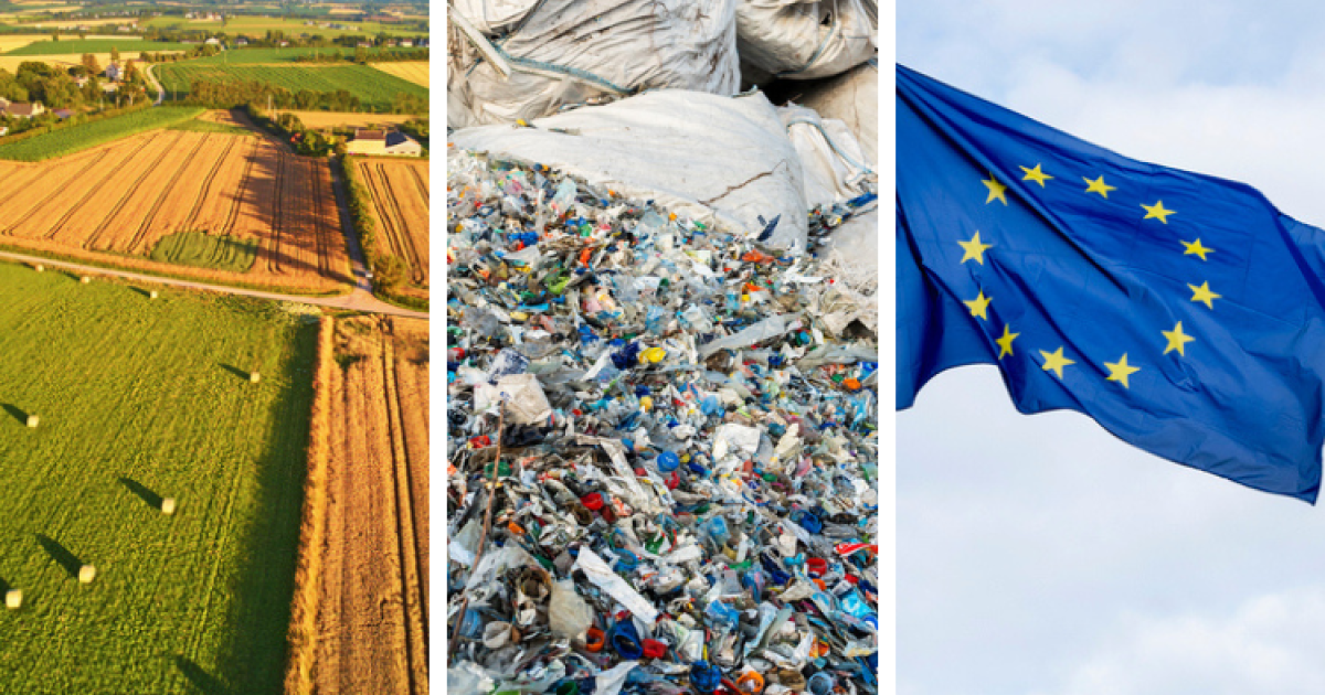 Pollution plastique, loi Duplomb & CSRD : bilan des actualités environnementales – Carenews INFO