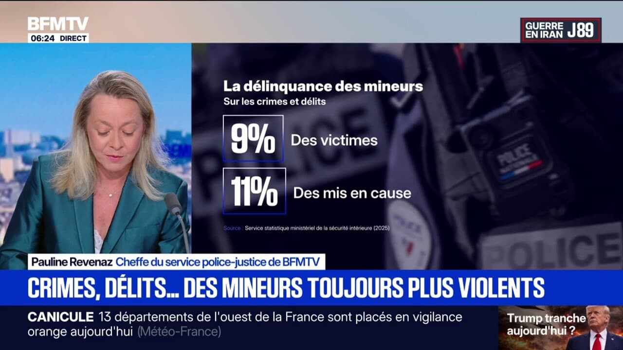 Crimes et délits des mineurs: que représentent-ils? Le point avec Pauline  Revenaz