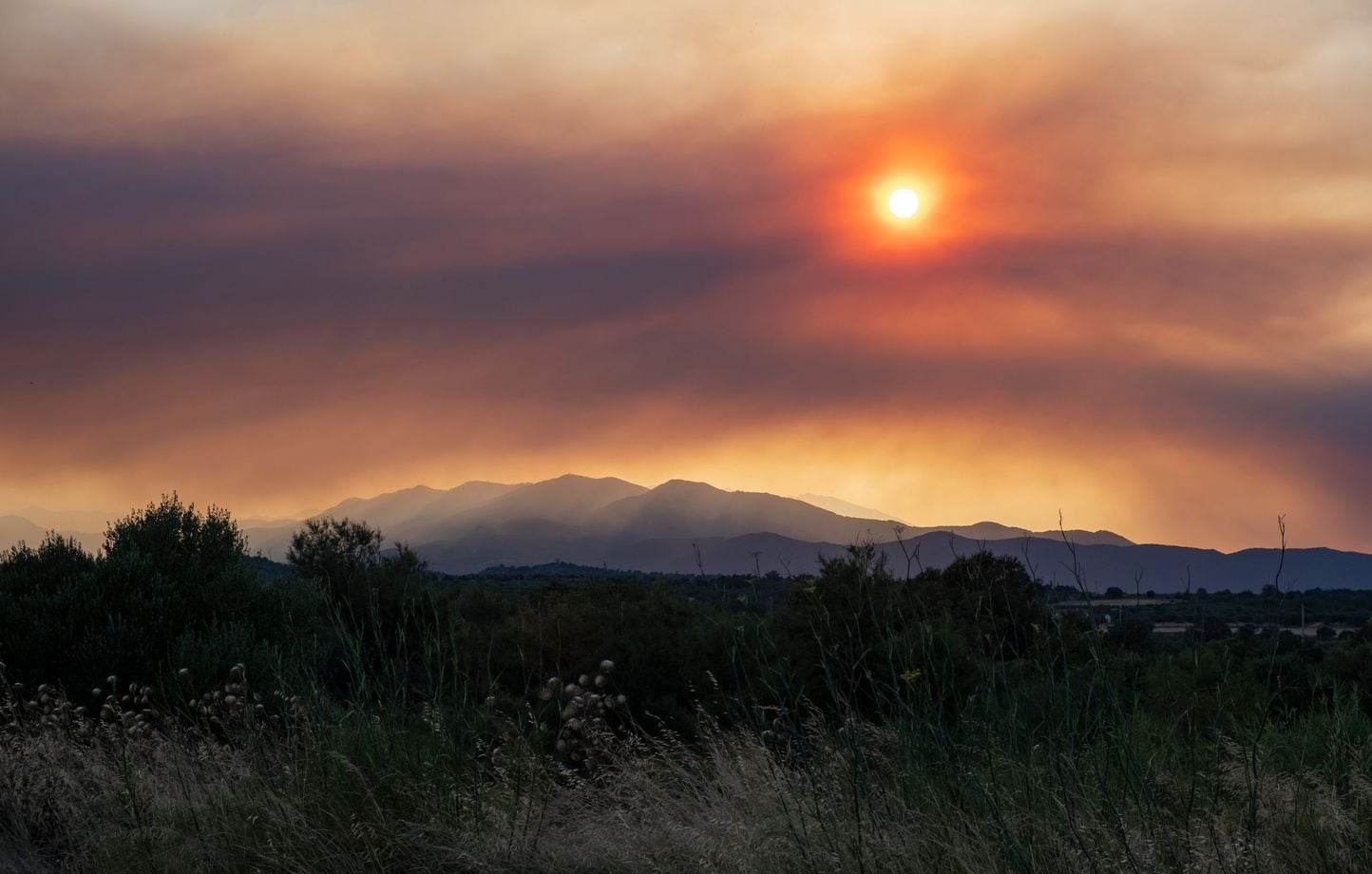 Canicule : Plusieurs dizaines de scientifiques et personnalités réclament une « loi d'urgence climatique »