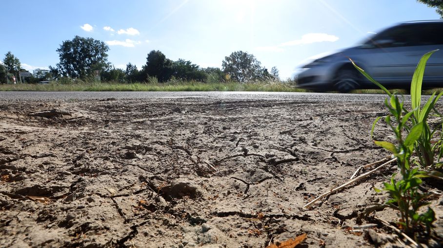 Après la canicule de juin, plus de la moitié des nappes phréatiques sont sous les normales – franceinfo