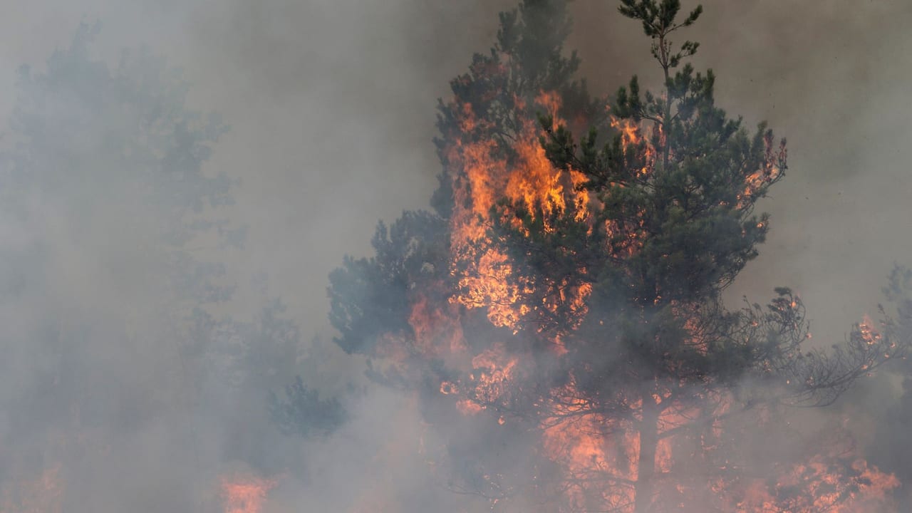 Décès d'un pompier volontaire de 22 ans lors d'un feu de forêt — Feux de Forêt