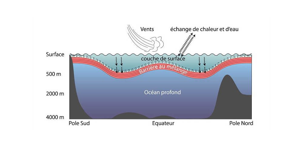 Océans : que reste-t-il à découvrir ? – formation, évolution, fonctionnement, biodiversité