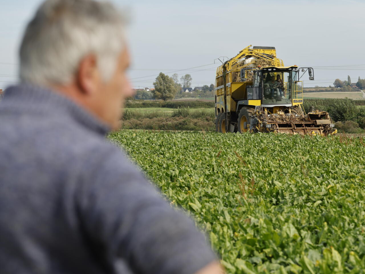 L'UE débloque 540 millions d'euros pour aider les agriculteurs face à la hausse du prix des engrais - RFI