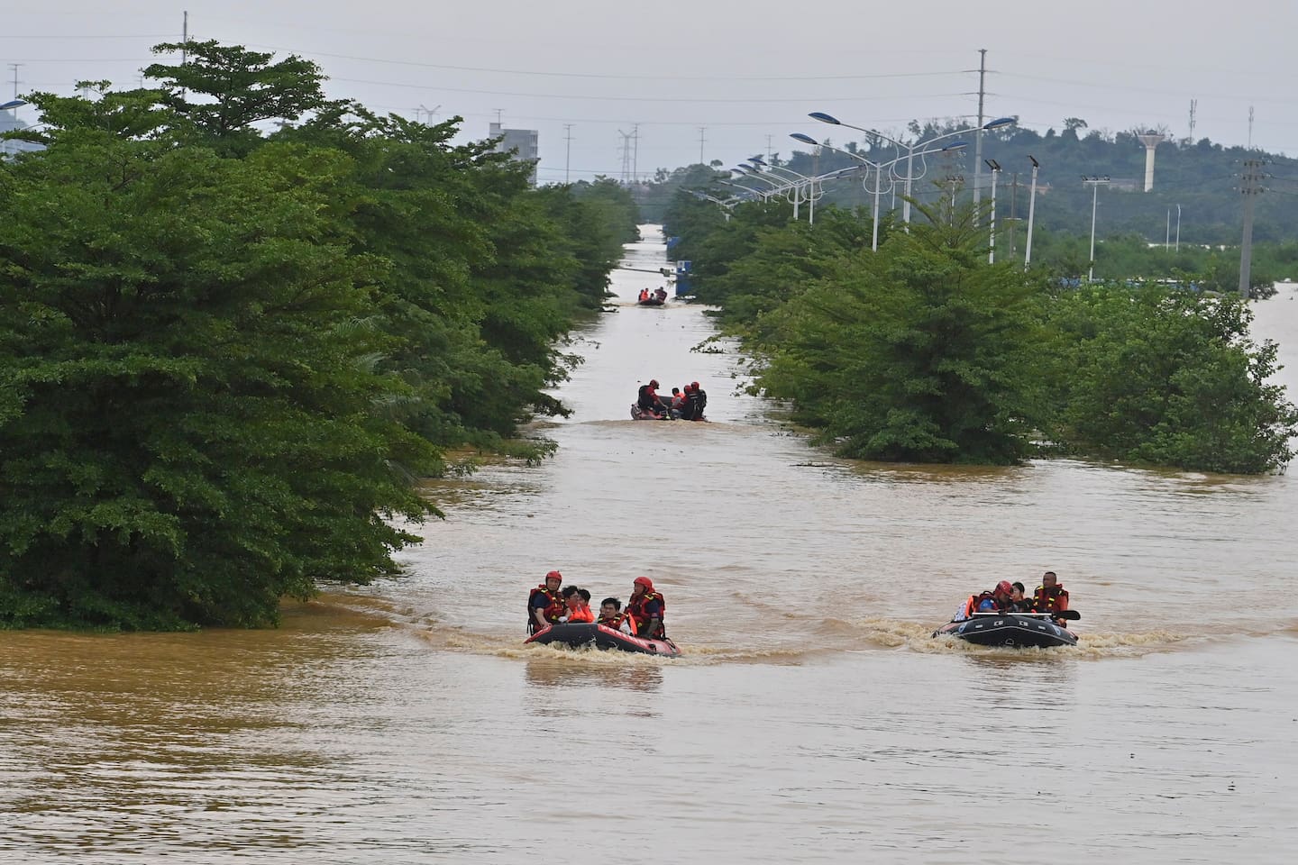 Augmentation des stocks d'antivenin» : plus de 800 serpents s'échappent d'une ferme d'élevage dans le sud de la Chine en proie aux inondations – Libération