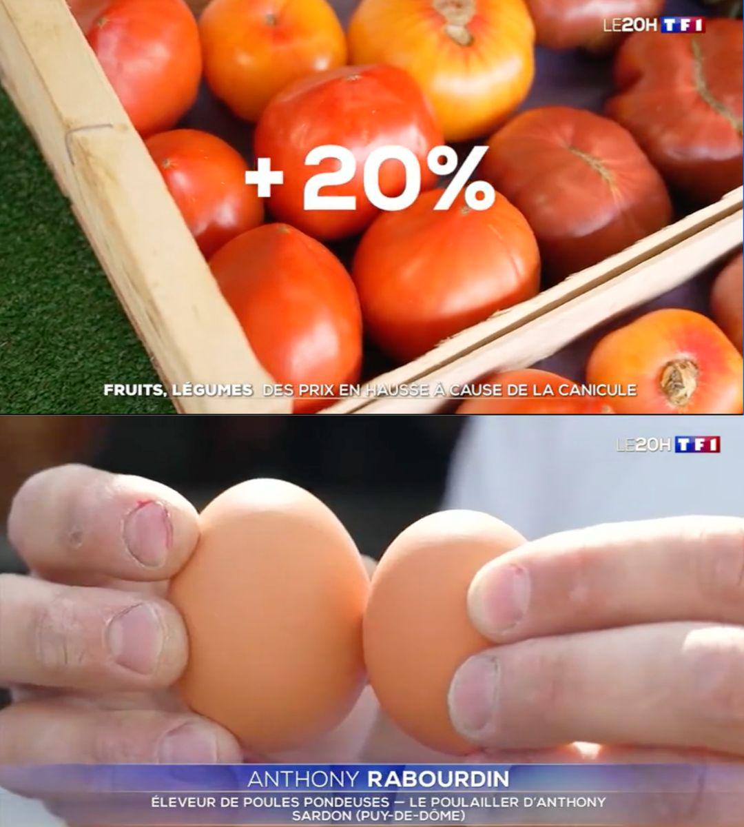 Les canicules font flamber les prix de notre alimentation : r/ecologie